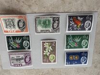 [Local Motives and Queen Elizabeth II, tip BW]