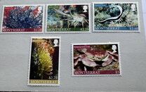 [Marine Life, Tip AYW]