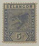 [Tiger, type G3]