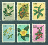 [The Medicinal Plants, type BIK]