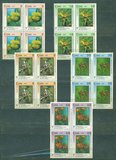 [The 5th Latin American Botanical Congress, 類型 ETC]