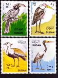 [Birds, type FS]