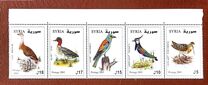 [Birds, type BCK]