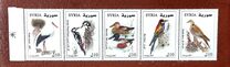 [Syrian Birds, type BHD]