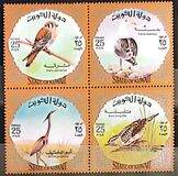 [Birds, type LH]
