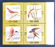 [Birds, type LD]