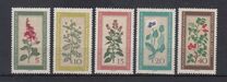 [Medicinal Plants, type OK]