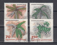 [Ferns, Вид AKL]