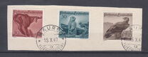 [Hunting, type GL]