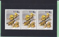 [Desert Plant, type DV]