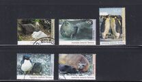 [Antarctic Wildlife, tip CL]