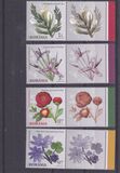 [Flowers of Bucharest Botanical Garden, type JZS]