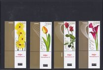 [Flowers, tip AFG]