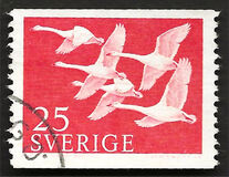 [Norden Stamps - Birds, type DY]