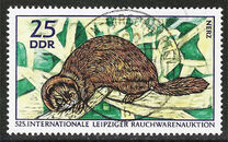 [International Fur Auction in Leipzig, type ARW]