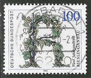 [The 500th Anniversary of the Viticulture of Riesling, tip ATT]
