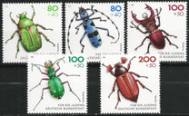 [Youth Hostel - Insects, Scrivi BCI]