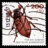 [Youth Hostel - Insects, Scrivi BCM]