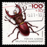 [Youth Hostel - Insects, Scrivi BCK]