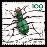 [Youth Hostel - Insects, Scrivi BCL]