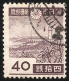 [Local Motifs, type CY1]