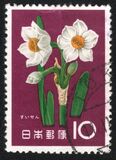 [Japanese Flowers, type AIX]