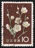 [Japanese Flowers, type AIY]