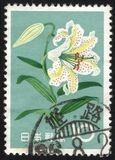 [Japanese Flowers, type AJD]