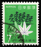 [National Afforestation Campaign, type AWV]