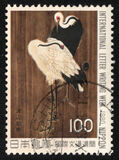 [International Correspondence Week, тып BJW]