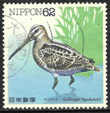 [Water Birds - Latham's Snip & Brown Booby, type CHE]