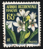 [Flowers, type BY]