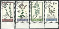 [Flora., tipo ALI]