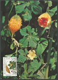 [Medical Herbs, type CV]