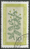 [Medicinal Plants, typ OL]