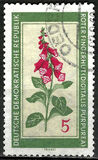 [Medicinal Plants, typ OK]