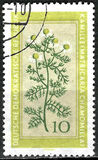 [Medicinal Plants, typ OL]