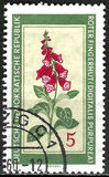 [Medicinal Plants, typ OK]
