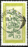 [Medicinal Plants, typ OL]