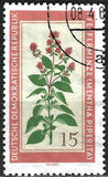 [Medicinal Plants, typ OM]