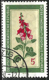 [Medicinal Plants, typ OK]
