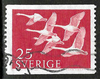 [Norden Stamps - Birds, type DY]