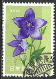 [Japanese Flowers, type AJF]