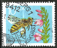 [Honey Bees, type DFS]