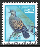 [Definitive Issue - Birds, タイプ CKM]