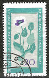 [Medicinal Plants, type ON]