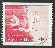[Birds - Refugee Relief, tyyppi KU]