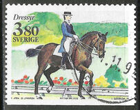 [World Equestrian Games, Typ AOY]