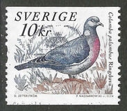 [Doves and Pigeons, type BTI]