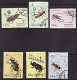 [Insects, 类型 CZI]
